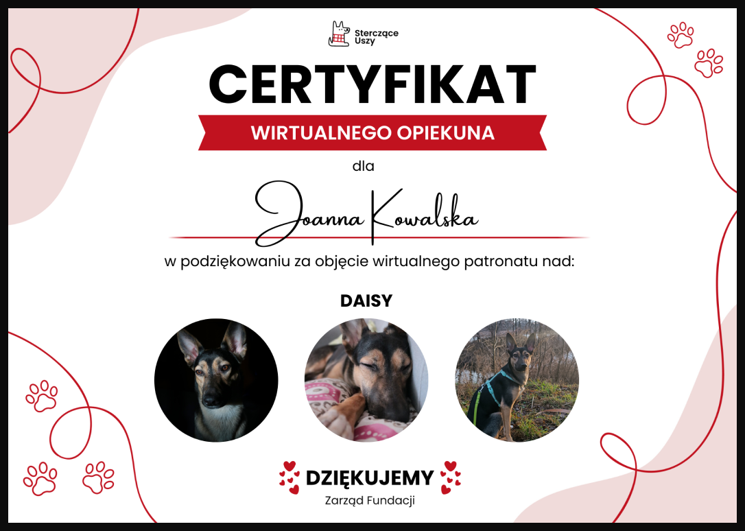 wirtualny certyfikat